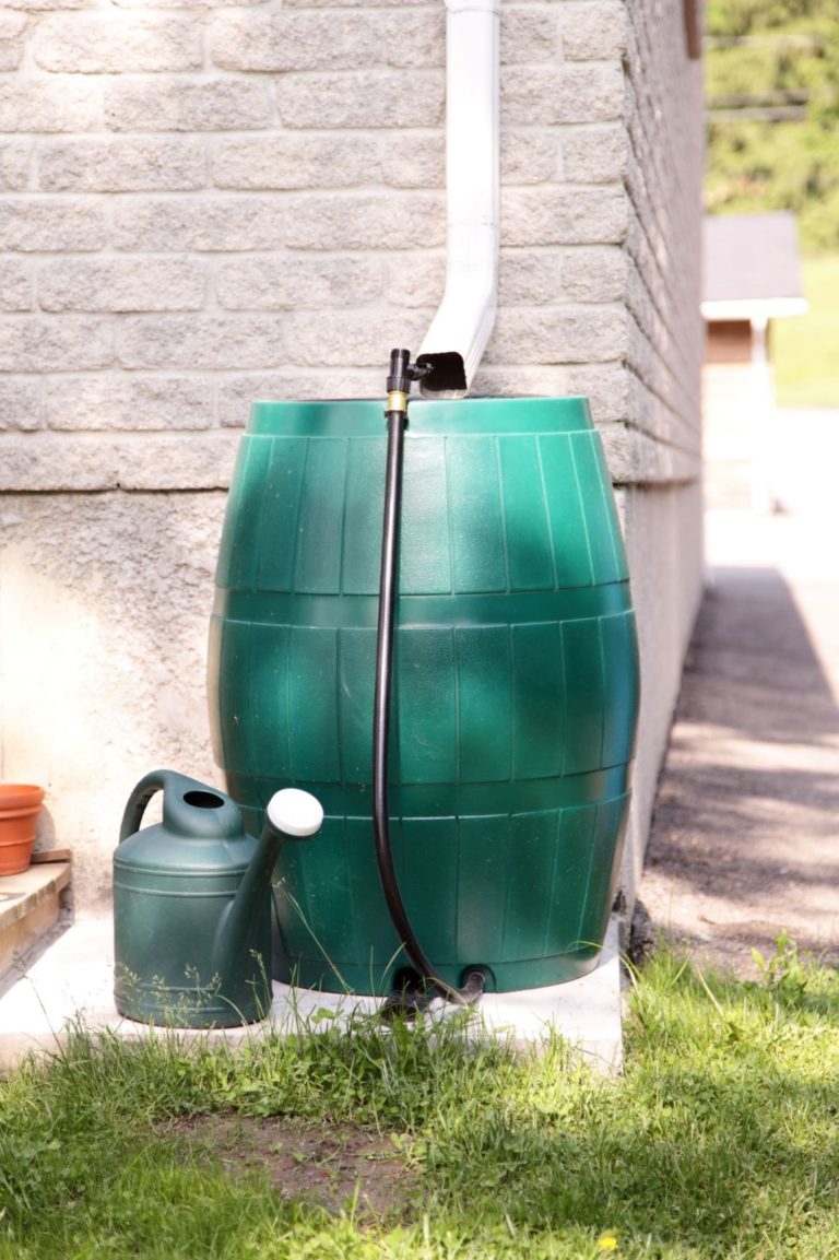 Rain Barrel